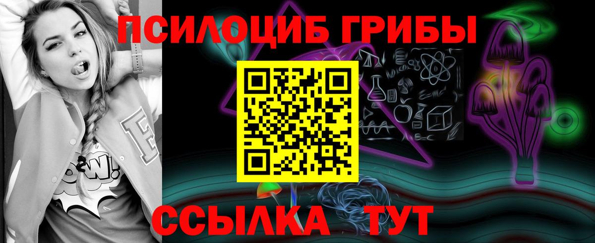 Родники  Псилоцибиновые грибы мицелий  Вход с VPN  Псилоцибиновые грибы мицелий 